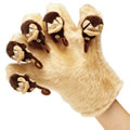 Mitt Only