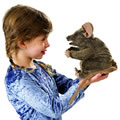 Brown Mouse Hand Puppet