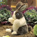 Thumbnail Image #4 of Baby Dutch Rabbit Hand Puppet