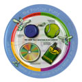 Child Size Portion Plate