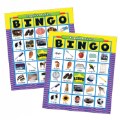 Alternate Image #2 of Basic Spanish Bingo Game