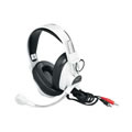 Headphone With Microphone