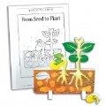 Seed to Plant