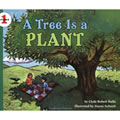 A Tree Is A Plant