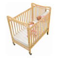 Safe & Sound&trade; Fixed Side Mirror Compact Crib