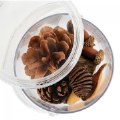 Alternate Image #4 of Carry and Discover Magnification Containers - Set of 2