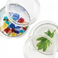 Alternate Image #5 of Carry and Discover Magnification Containers - Set of 2