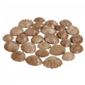 Thumbnail Image of Tactile Shells - 36 Pieces