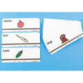 Action Picture Word Cards