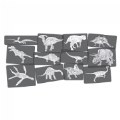 Alternate Image #3 of Dinosaur Picture Cards & X-Rays