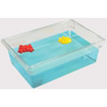 Sand & Water Tub