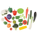 Vegetable Set in Container - 28 Pieces