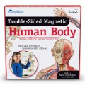 Alternate Image #5 of Double-Sided Magnetic Human Body