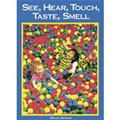 See Hear Touch Taste Smell (Big Book)