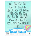 Colored Chart Tablet 24" x 32"
