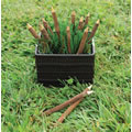 Alternate Image #3 of Natural Textured Wooden Twig Pencils - Set of 12