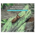 Alternate Image #5 of Back to Back Learning Kit with Bilingual Activity Cards - Incredible Insects