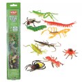 Alternate Image #6 of Back to Back Learning Kit with Bilingual Activity Cards - Incredible Insects
