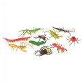 Alternate Image #2 of Back to Back Learning Kit with Bilingual Activity Cards - Incredible Insects