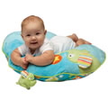Boppy&reg; Slideline&trade; Slipcover