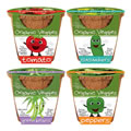 Organic Vegetables