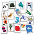 Phonemic Awareness Learning Card Set