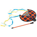 Lucky Ladybug Flyer