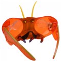 Alternate Image #2 of Buzzerks® Bug Goggles - Praying Mantis Eyewear