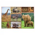 Alternate Image #3 of Wild and North American Animals Floor Puzzles - Set of 2