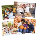 Alternate Image #3 of Diverse Family Structures Classroom Posters - Set of 12