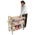 Mobile Store-It-All Cart
