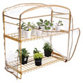 Classroom Greenhouse with Cover