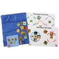 Insect Life Cycle Game