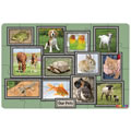 Our Pets Floor Puzzle
