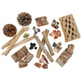 Desert Nature Kit