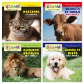 Thumbnail Image of All About Animals Bilingual Board Books - Set of 4