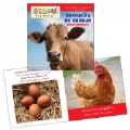 Alternate Image #3 of All About Animals Bilingual Board Books - Set of 4