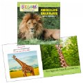 Alternate Image #4 of All About Animals Bilingual Board Books - Set of 4