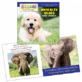 Alternate Image #5 of All About Animals Bilingual Board Books - Set of 4