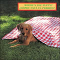 Where's the Puppy? - Board Book