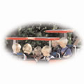 Turtle Kiddy Bus Canopy