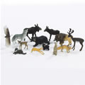North American Wildlife (Set of 13)