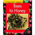 Bees To Honey - Paperback