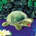 Alternate Image #2 of Baby Turtle Hand Puppet