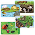 Giant Lifecycle Puzzle Set