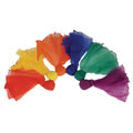 Flying Bean Bags (set of 6)
