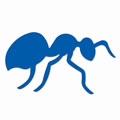Ant Die Cut Large
