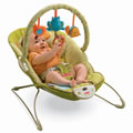 Green Meadows Bouncer