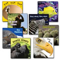 Animal Board Books (Set of 8)
