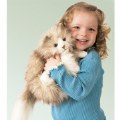 Alternate Image #3 of Fluffy Cat Hand Puppet